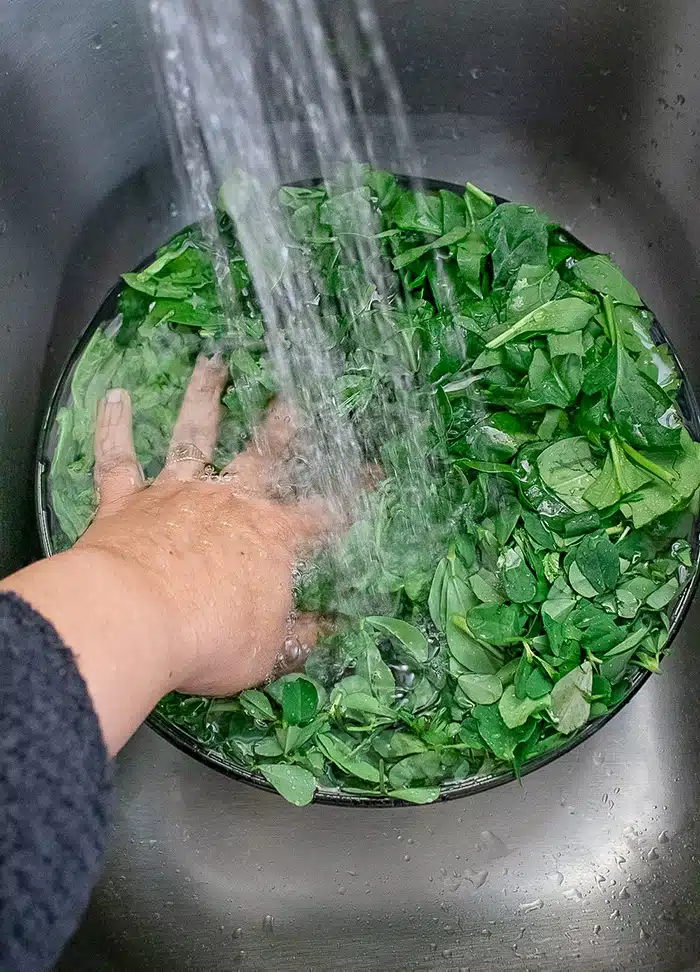 Wash the winter greens under tap water
