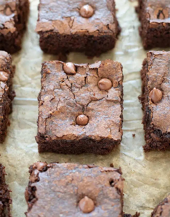 Freshly baked vegan chocolate brownies cut in squares