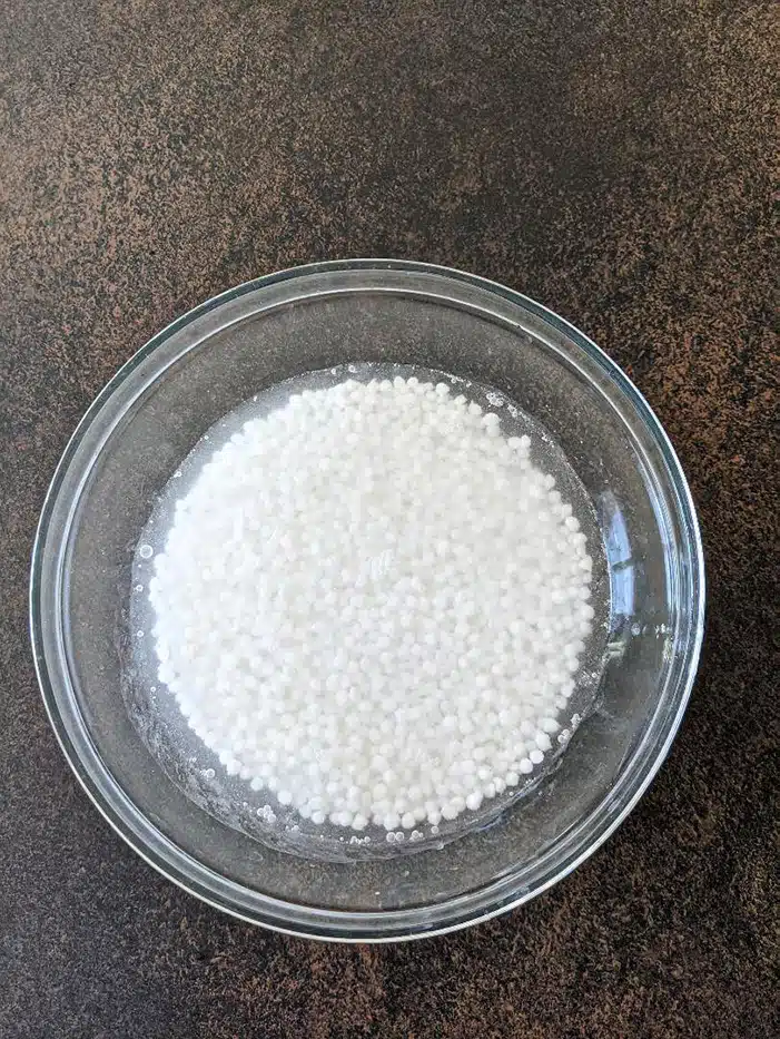 Soaked sabudana
