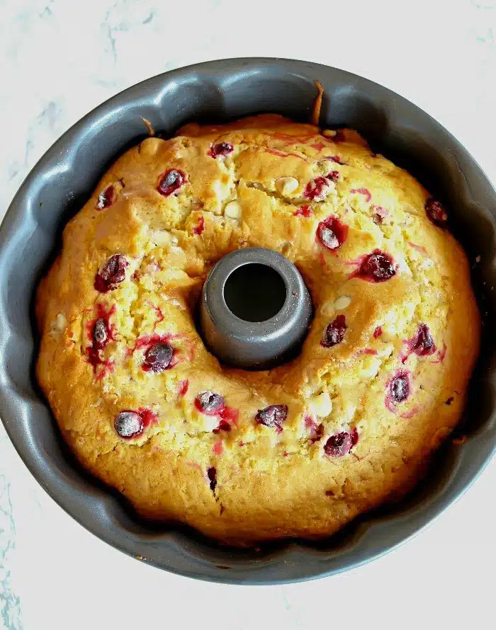 Baked cranberry cake in the pan