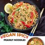 Pinterest Pin